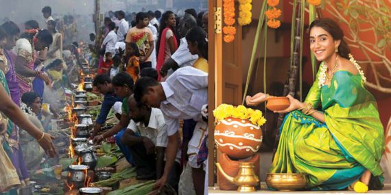 Why Pongal is celebrated in south India? The reason behind this tradition and its epic. Timing to keep Pongal 2021.
